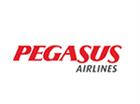 Pegasus Flypgs